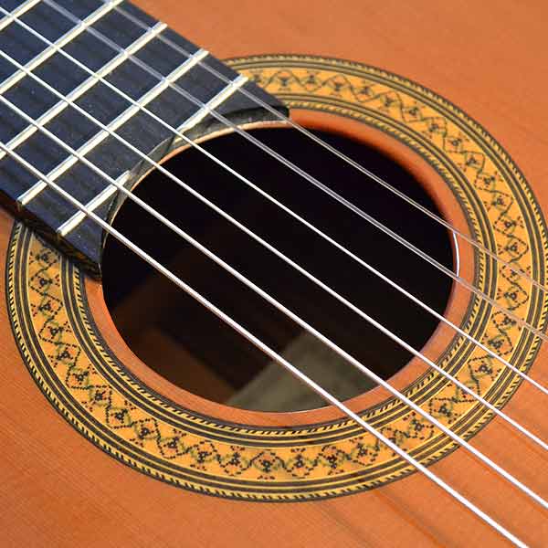 Hernandez Bariton Guitar Cedar